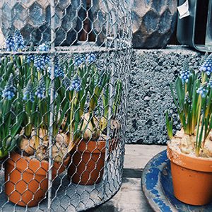 bildkaruell-7